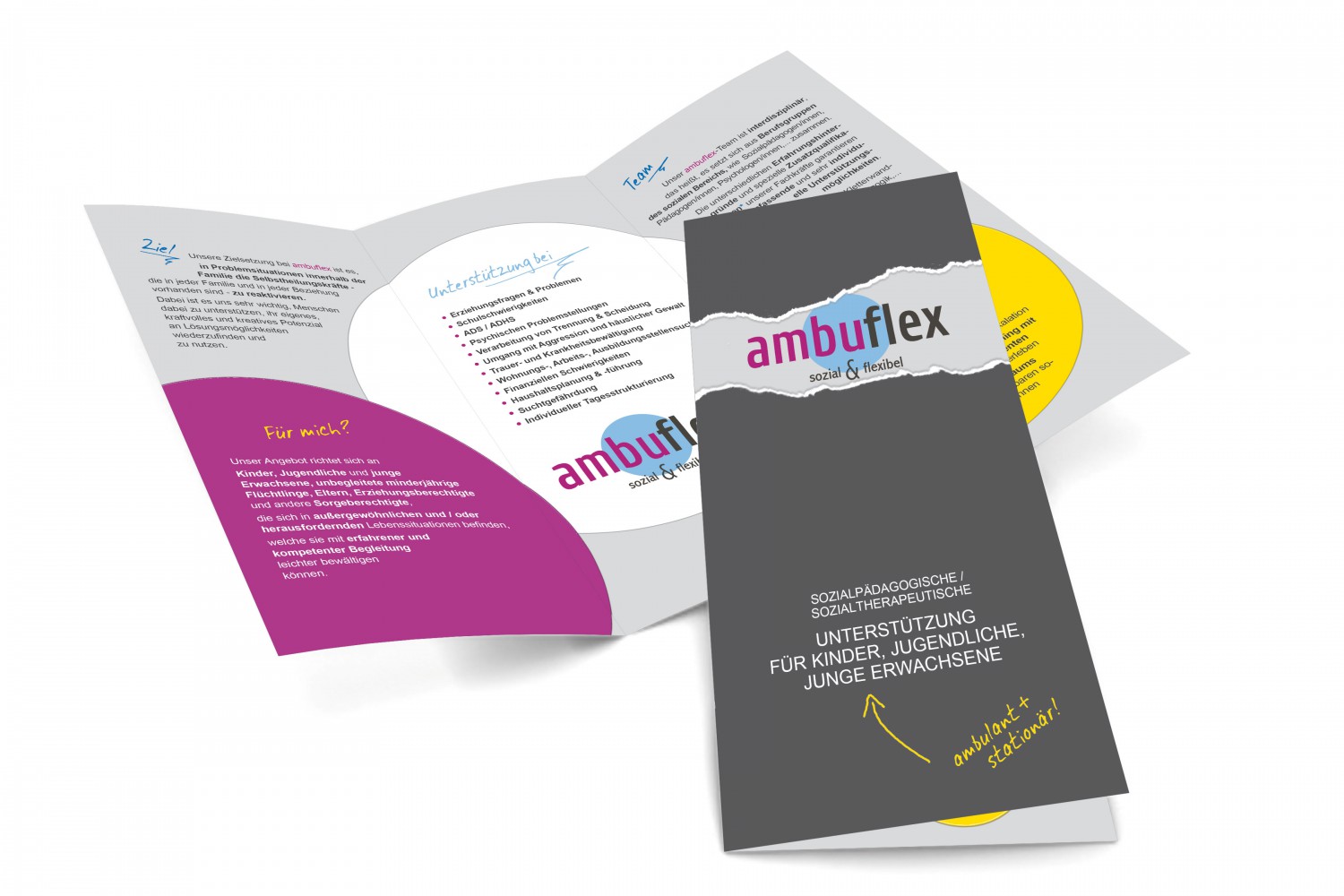 Ambuflex-Flyer
